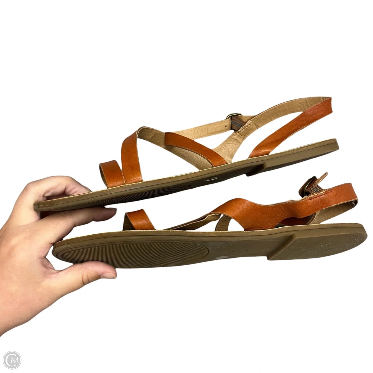 Sandals Flats By Lucky Brand In Tan, Size: 12