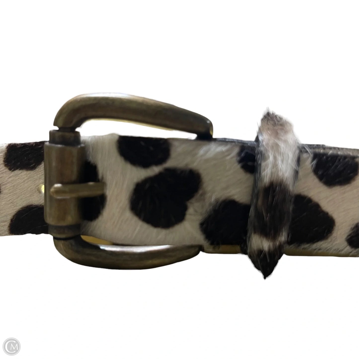 Belt, Size: Medium