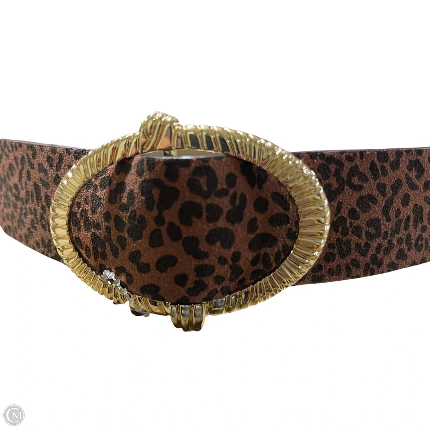 Belt By Loft, Size: Xs/S