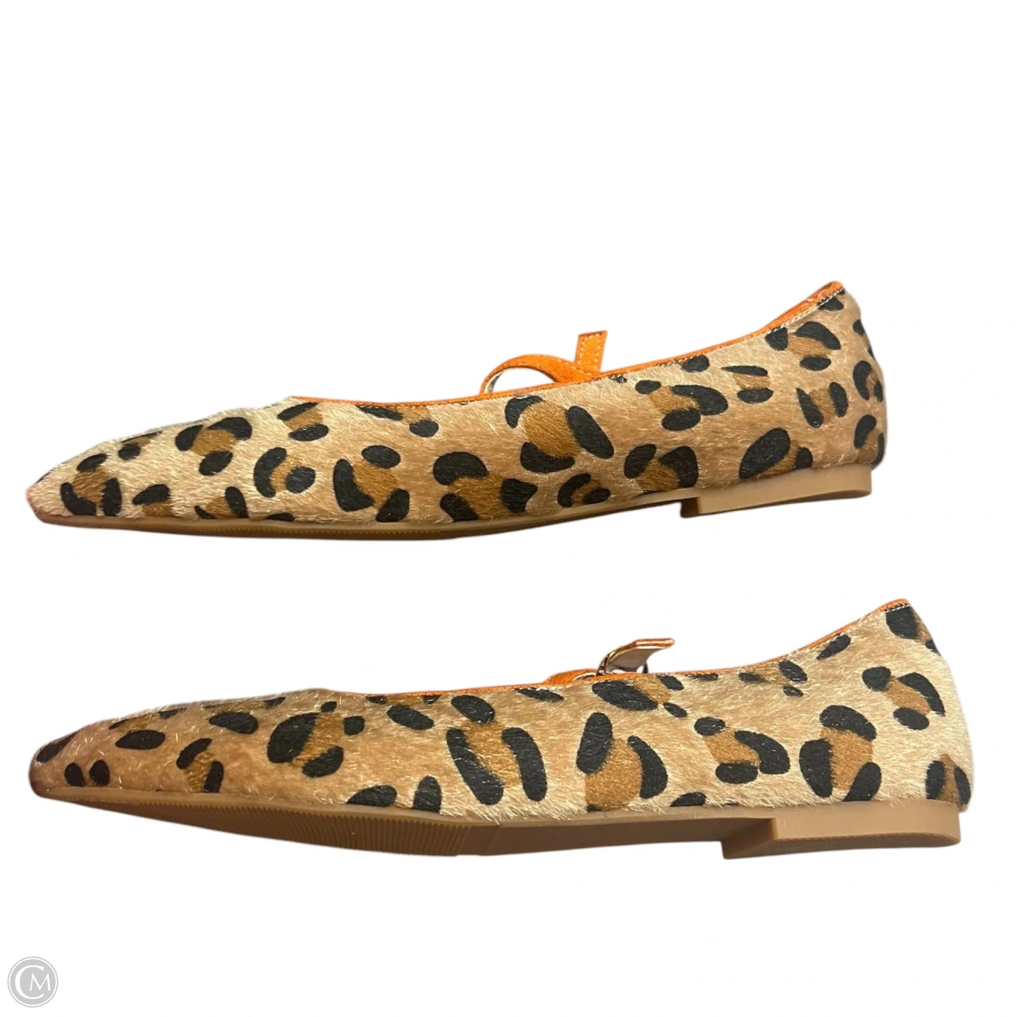 Shoes Flats In Leopard Print, Size: 11.5