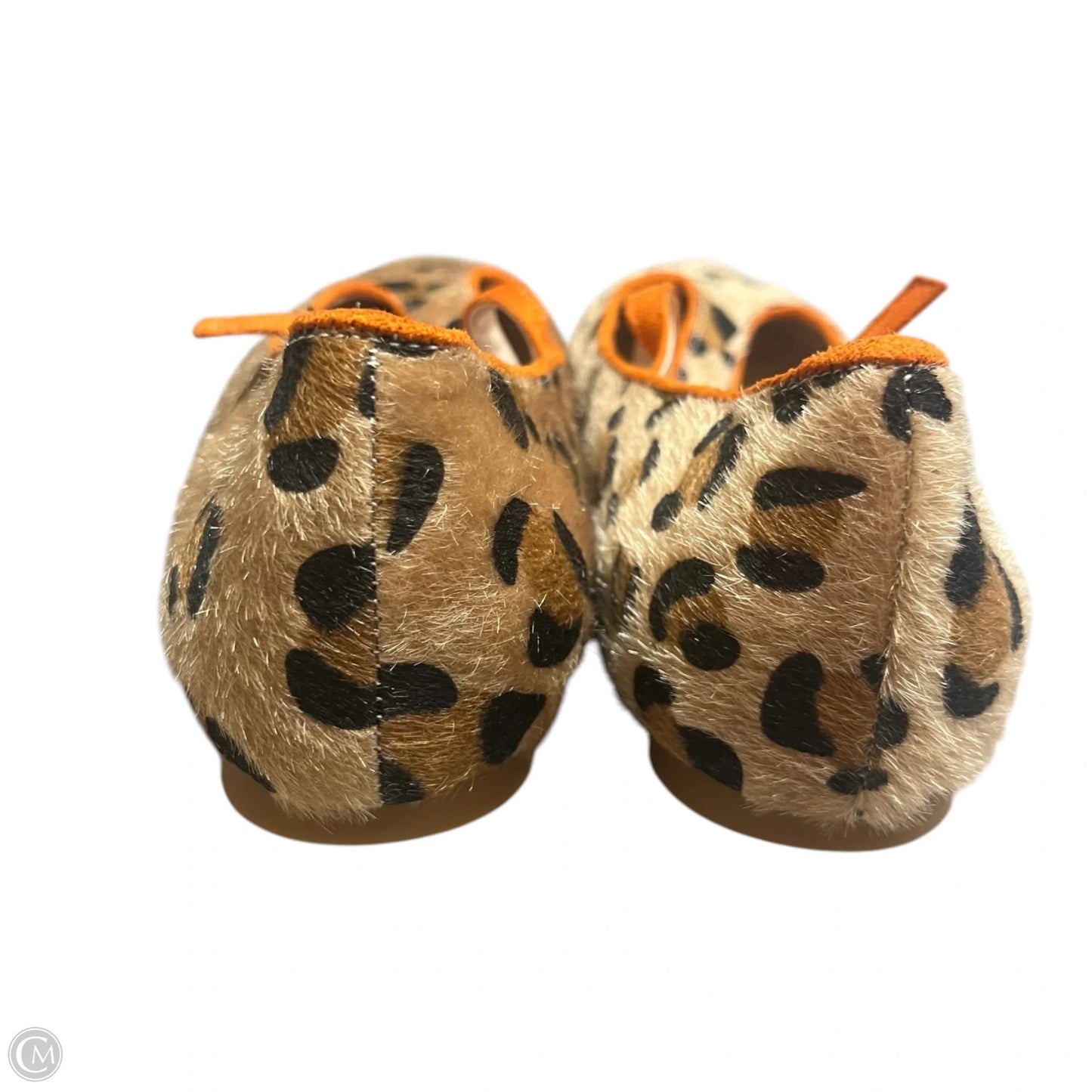 Shoes Flats In Leopard Print, Size: 11.5