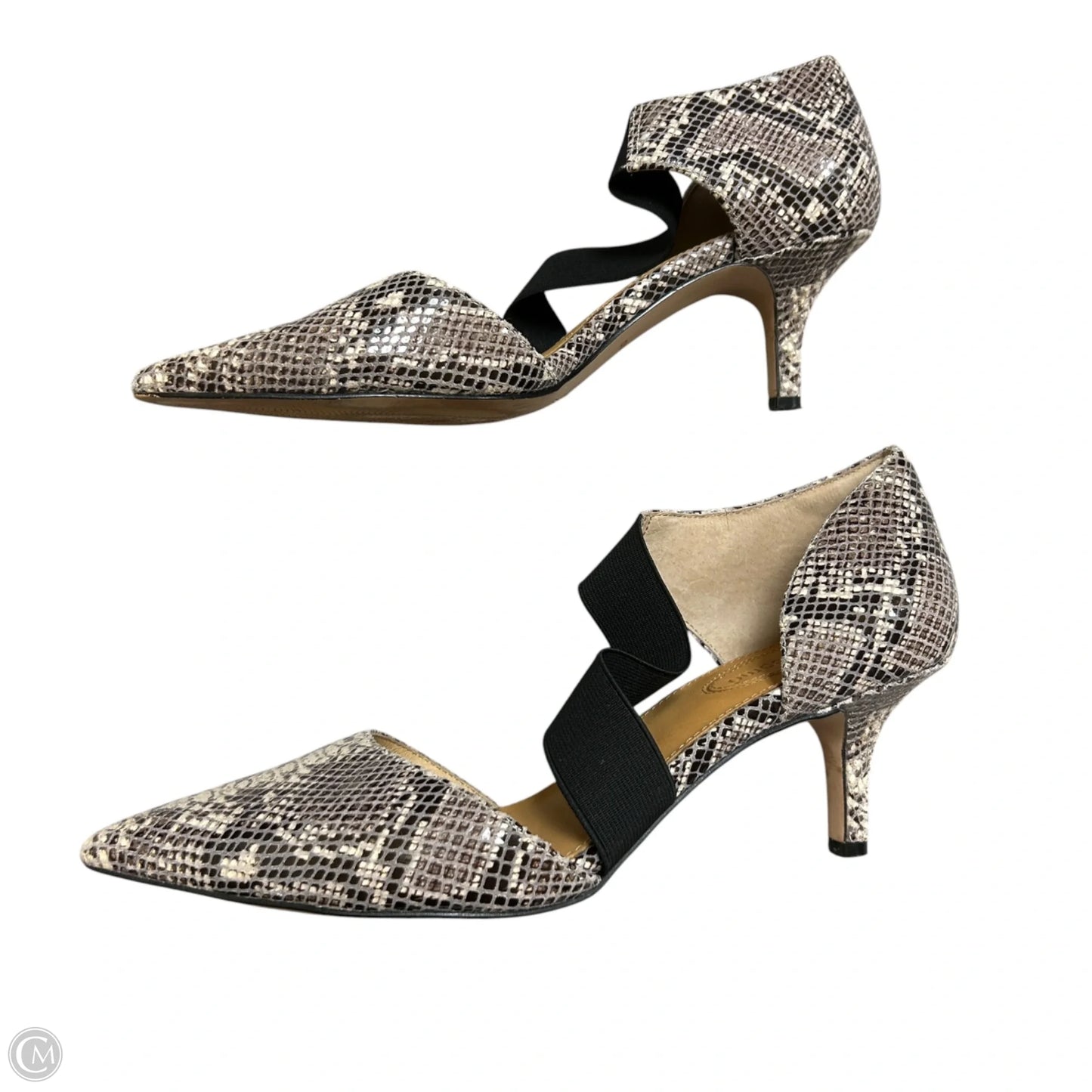Shoes Heels Kitten By Corso Como In Snakeskin Print, Size: 8.5