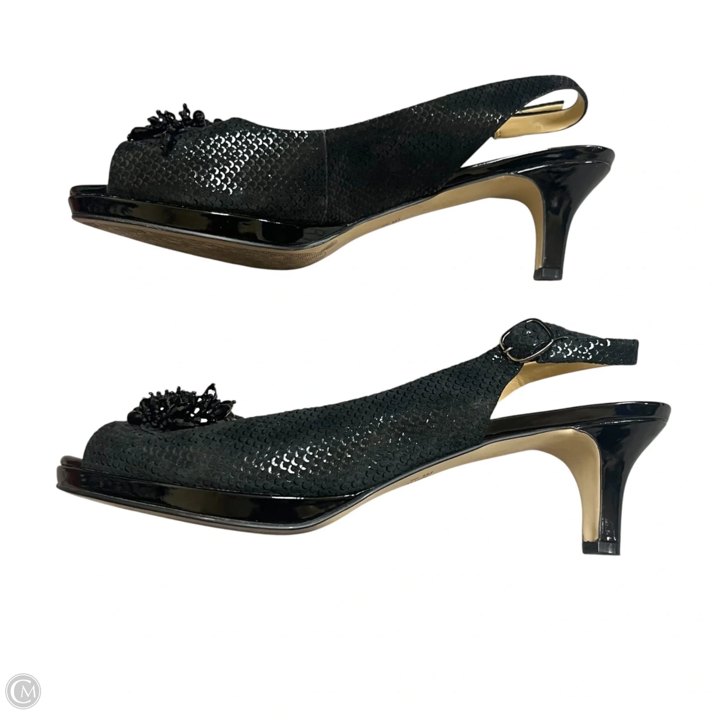 Shoes Heels Kitten By Alex Marie In Black, Size: 11