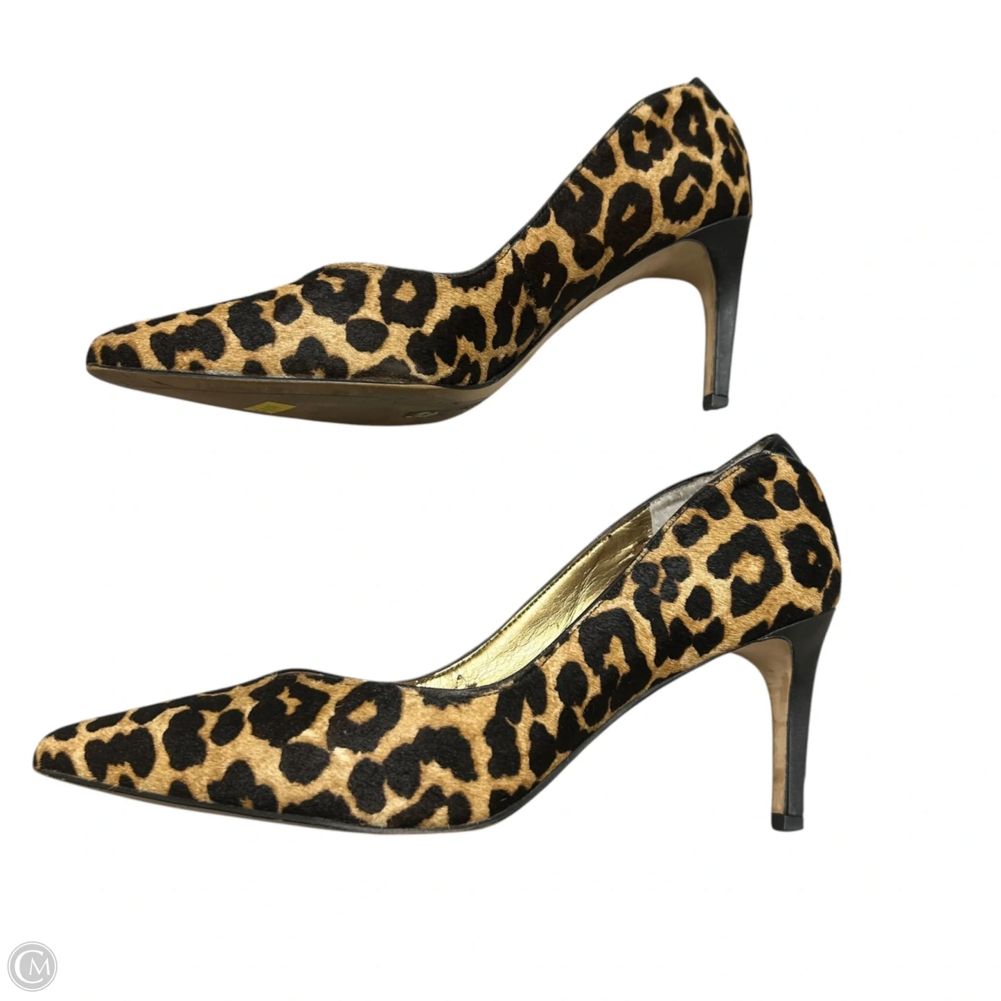 Shoes Heels Stiletto By Sam Edelman In Animal Print, Size: 9.5