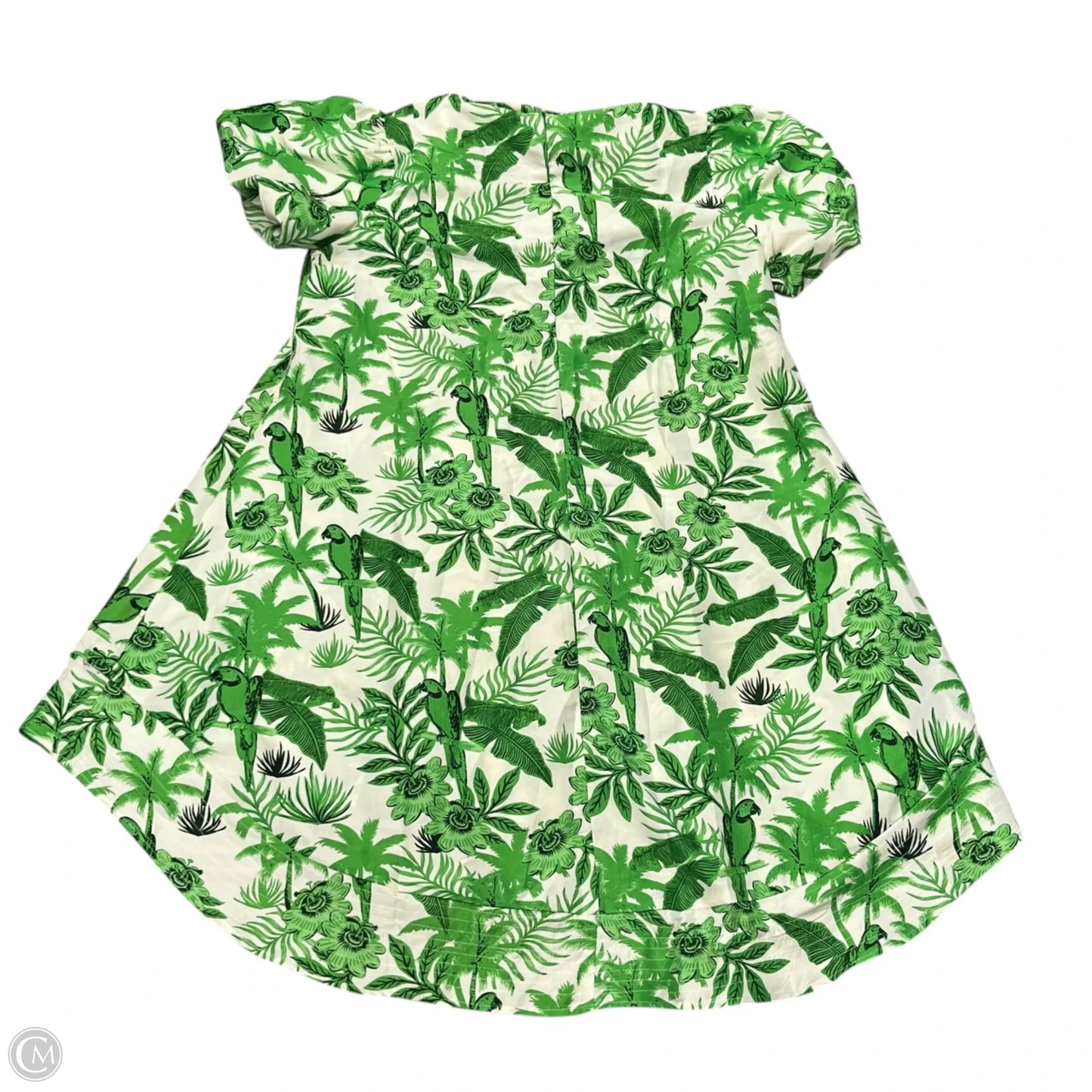 Dress Casual Midi By Her Destiny  In Green & White, Size: L