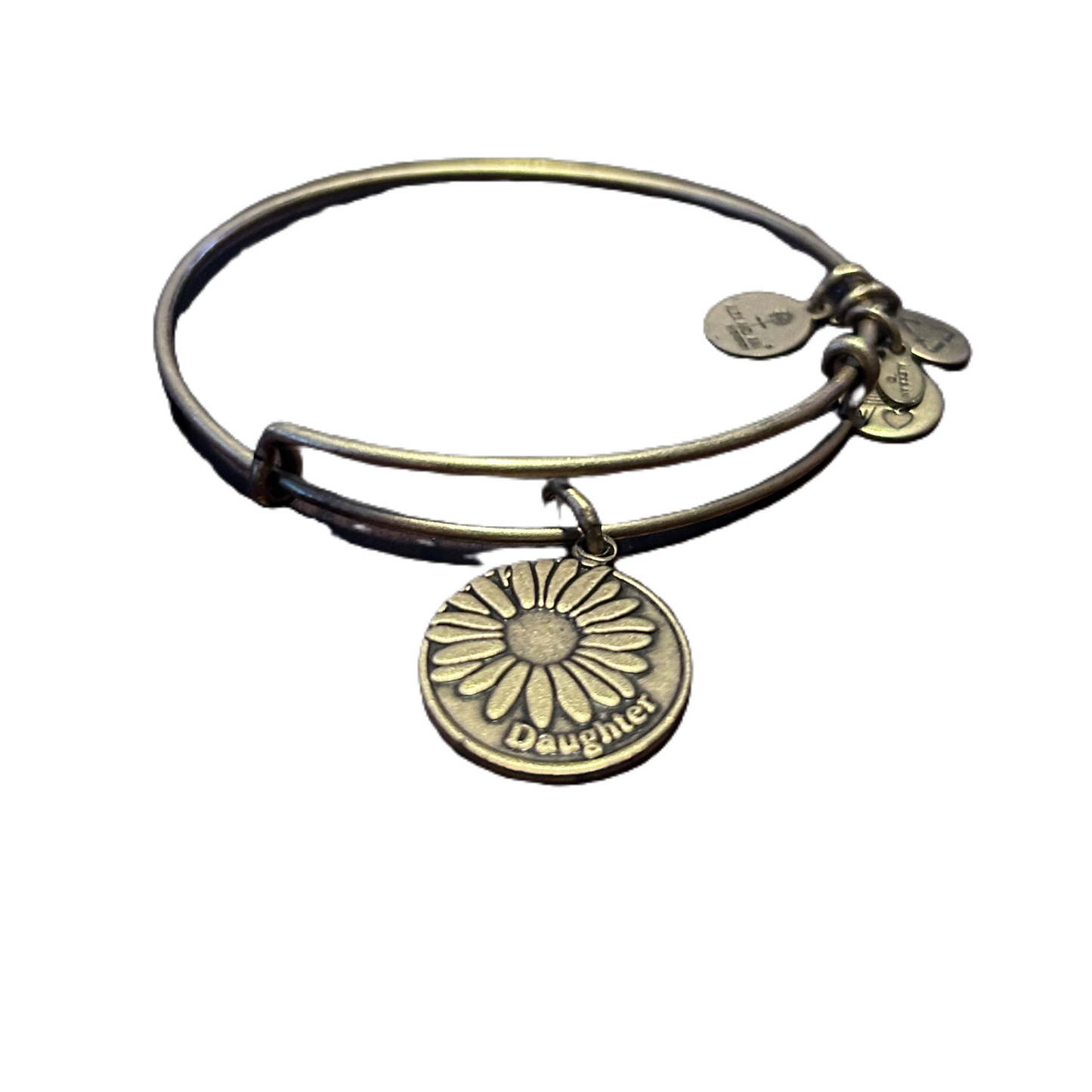 Bracelet Charm By Alex And Ani