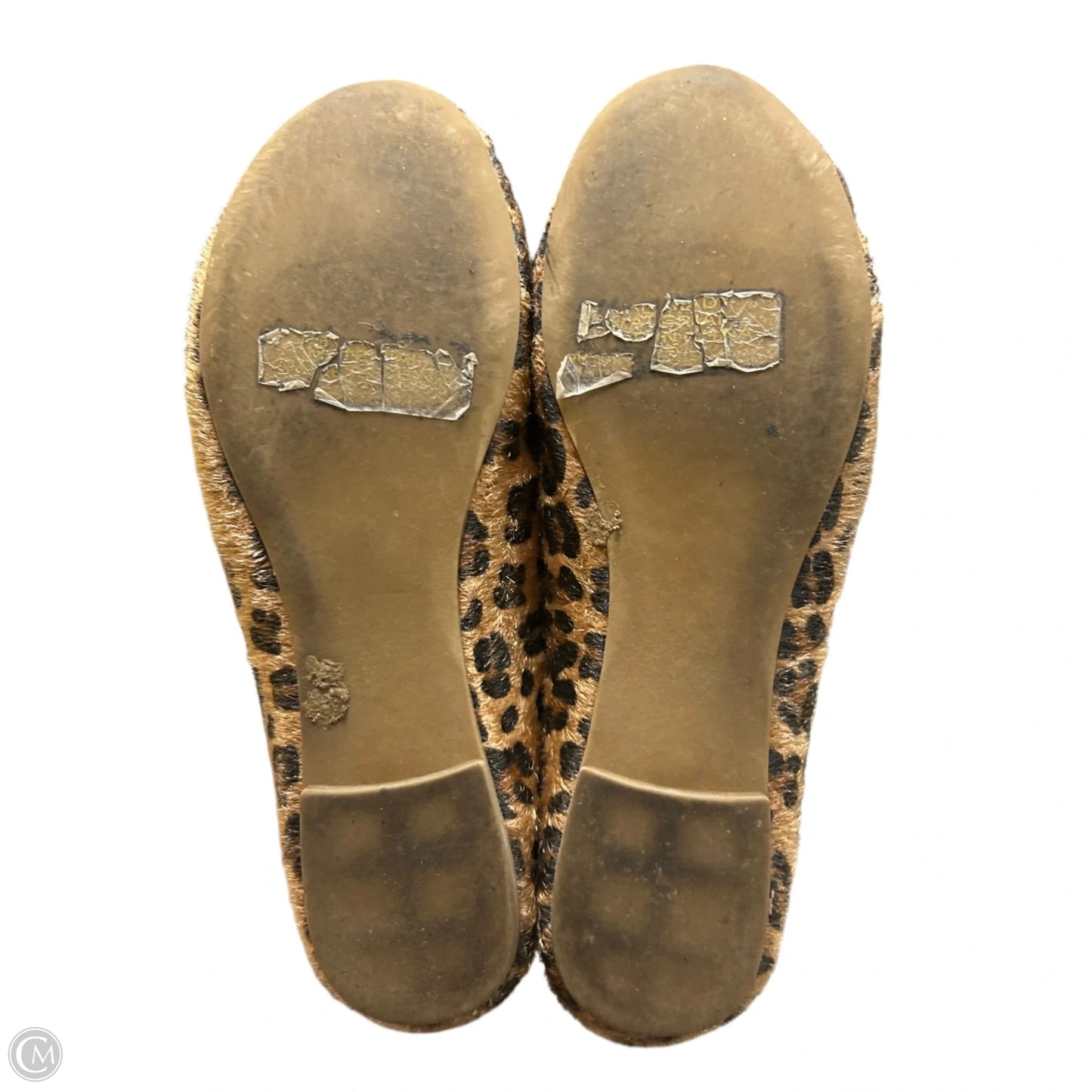 Shoes Flats By Nature Breeze In Animal Print, Size: 7