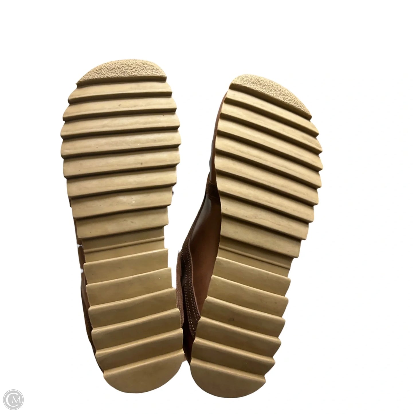 Shoes Sneakers By Steve Madden In Brown & Cream, Size: 11