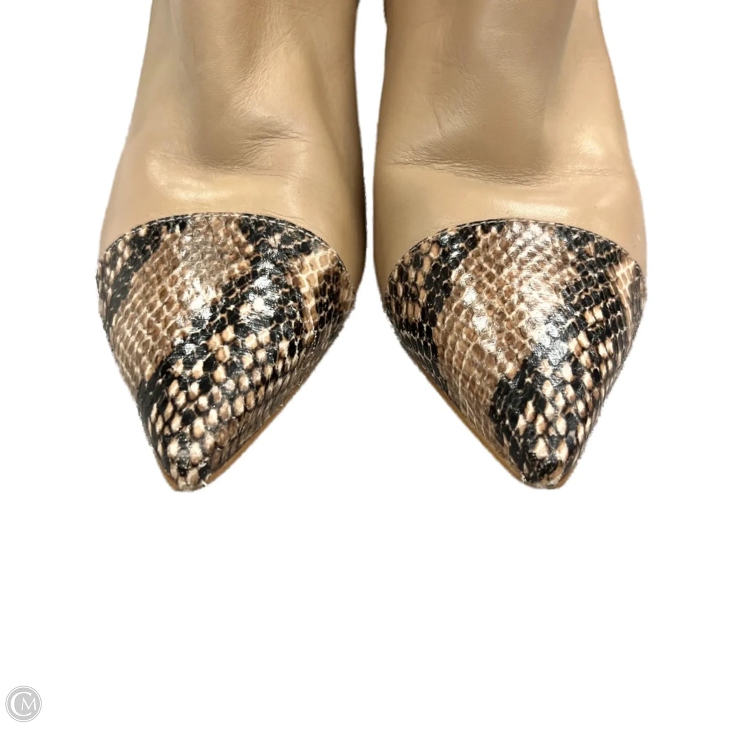 Boots Ankle Heels By Nine West In Snakeskin Print, Size: 8