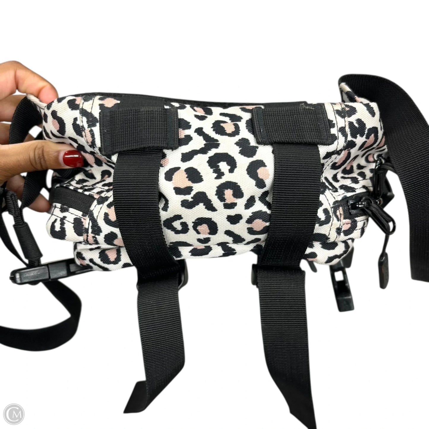 Backpack By Wolfpak, Size: Medium