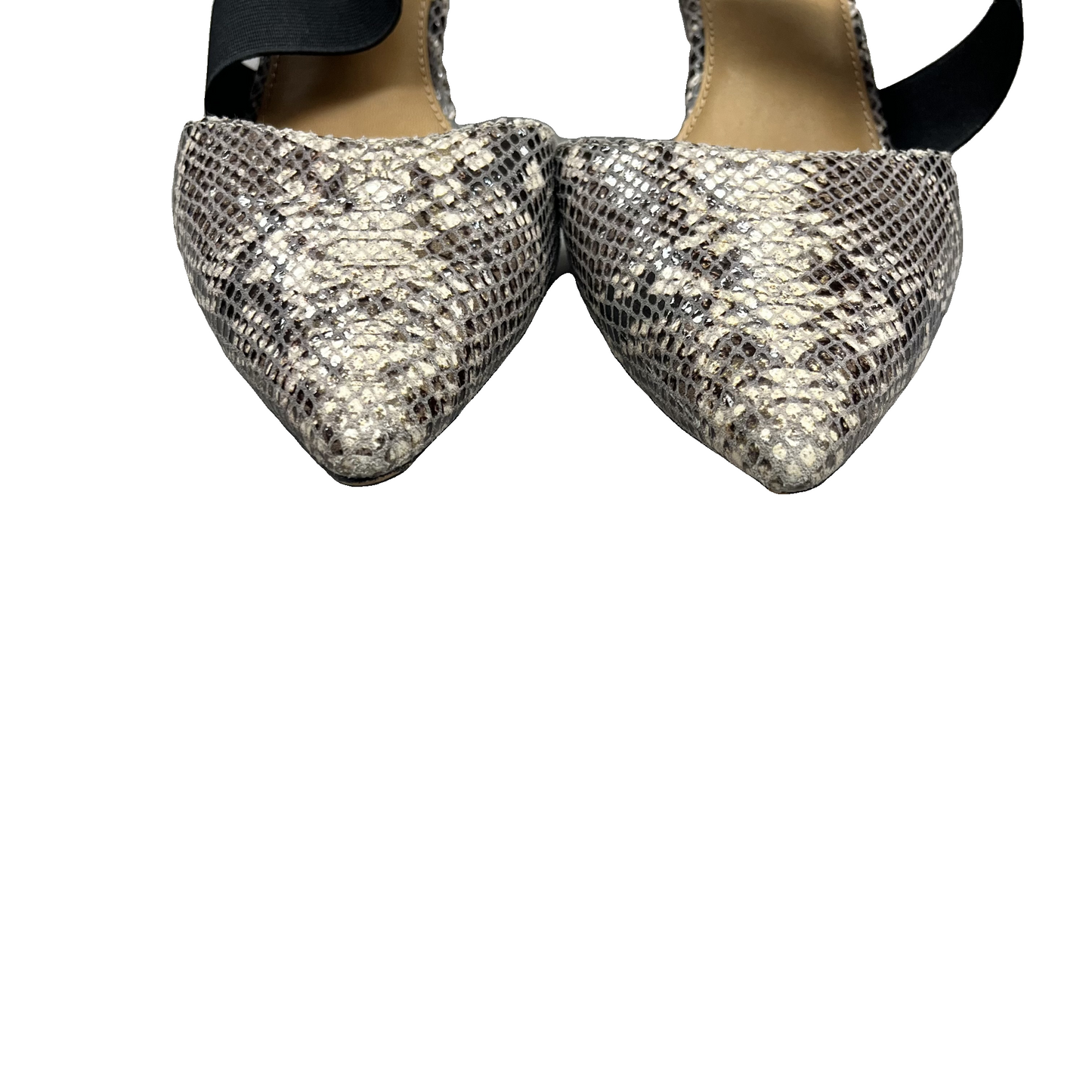 Shoes Heels Kitten By Corso Como In Snakeskin Print, Size: 8.5