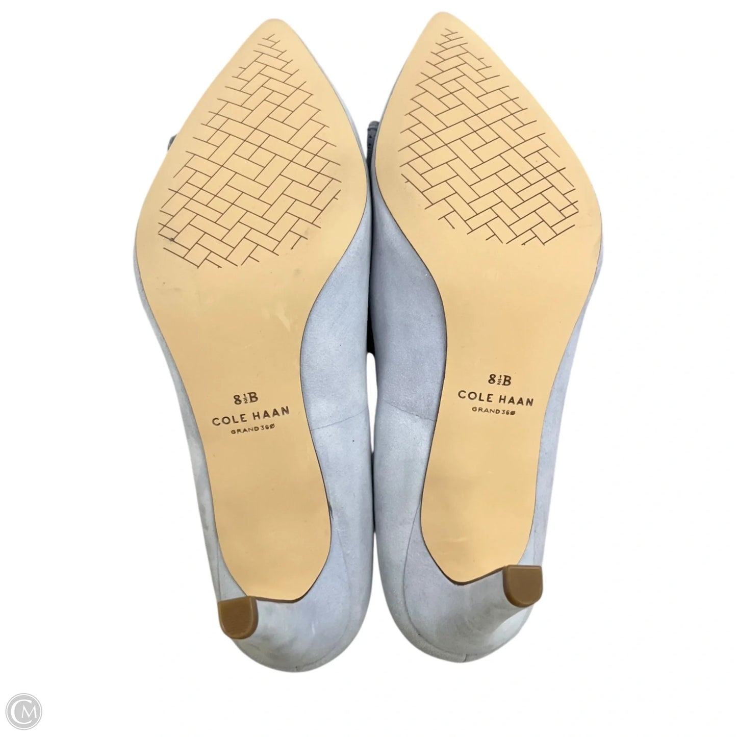 Shoes Heels Stiletto By Cole-haan In Blue, Size: 8.5