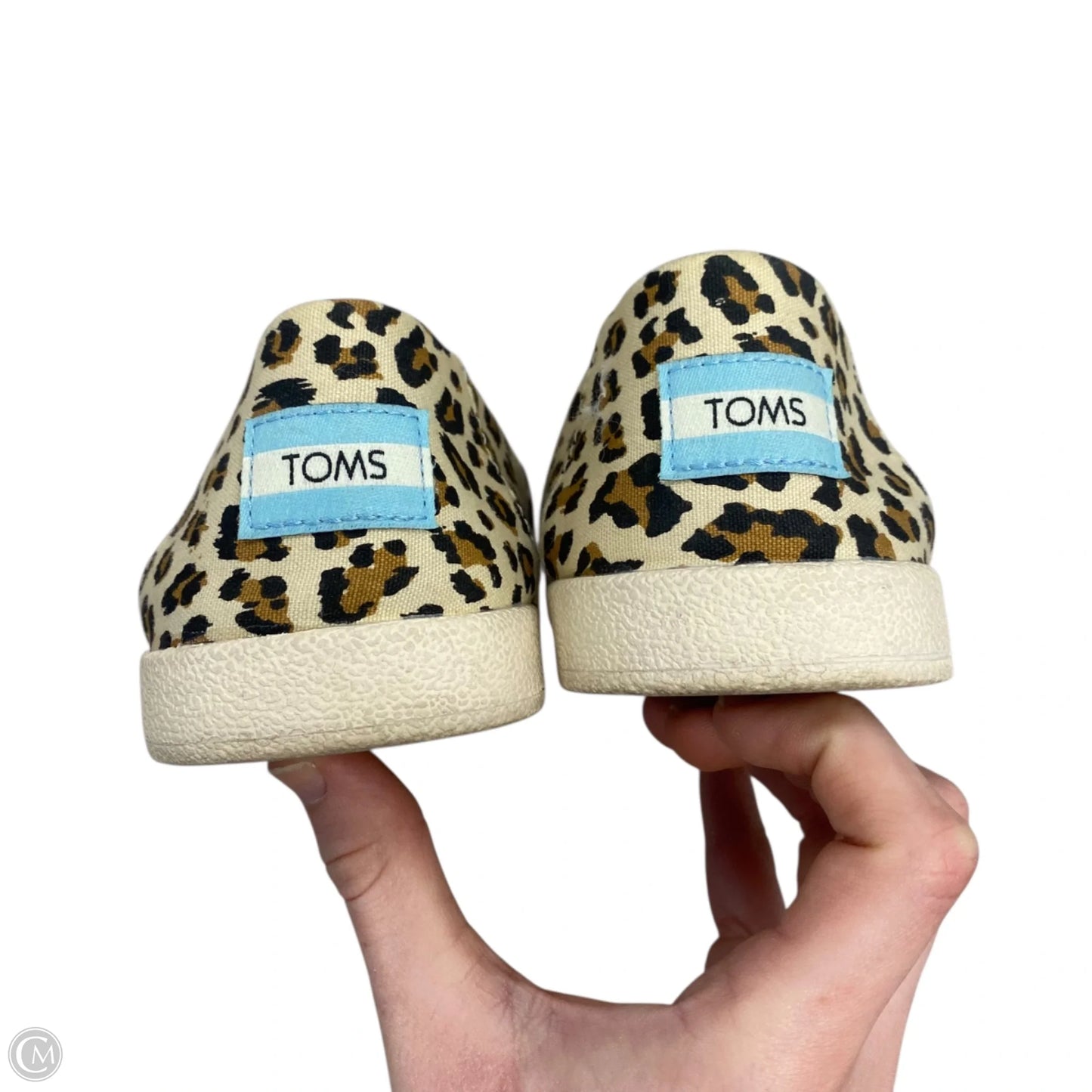 Shoes Flats By Toms In Leopard Print, Size: 7.5