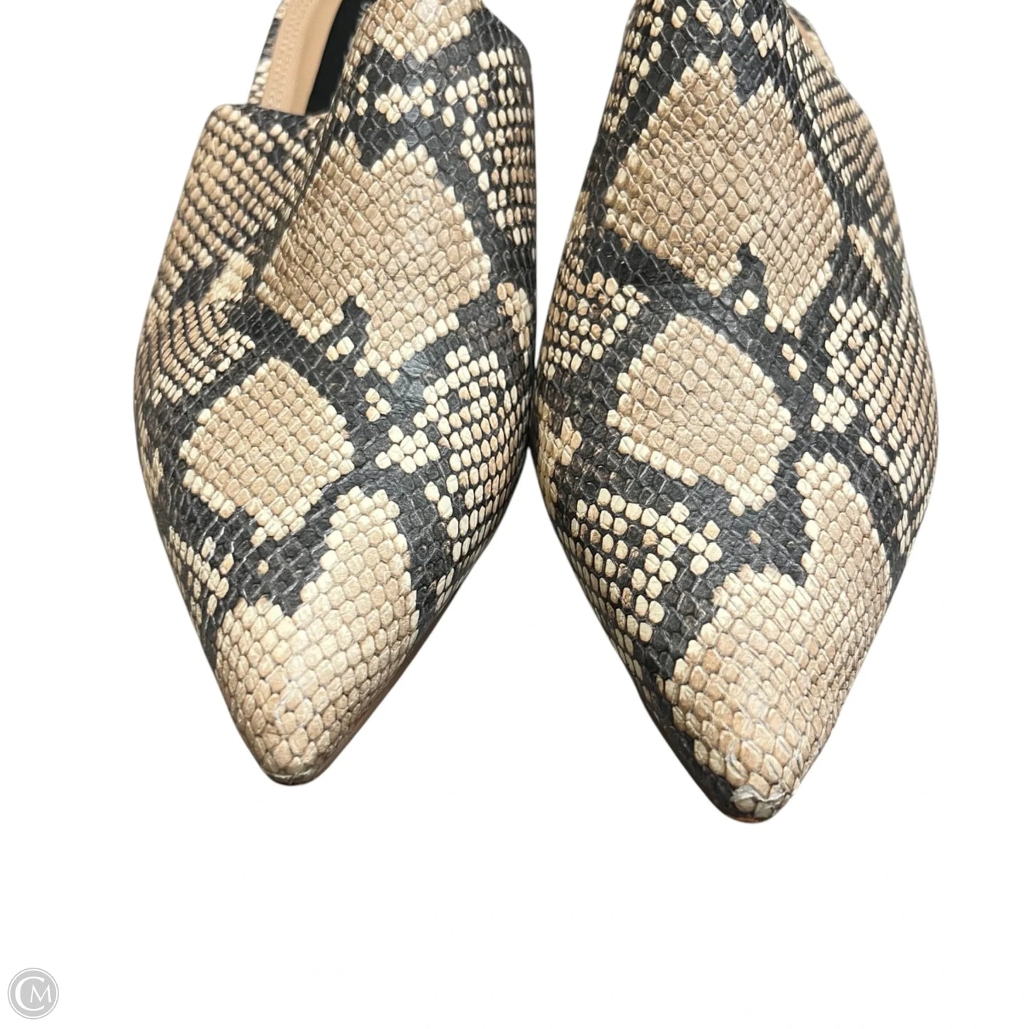 Shoes Heels Block By Steven By Steve Madden In Snakeskin Print, Size: 8