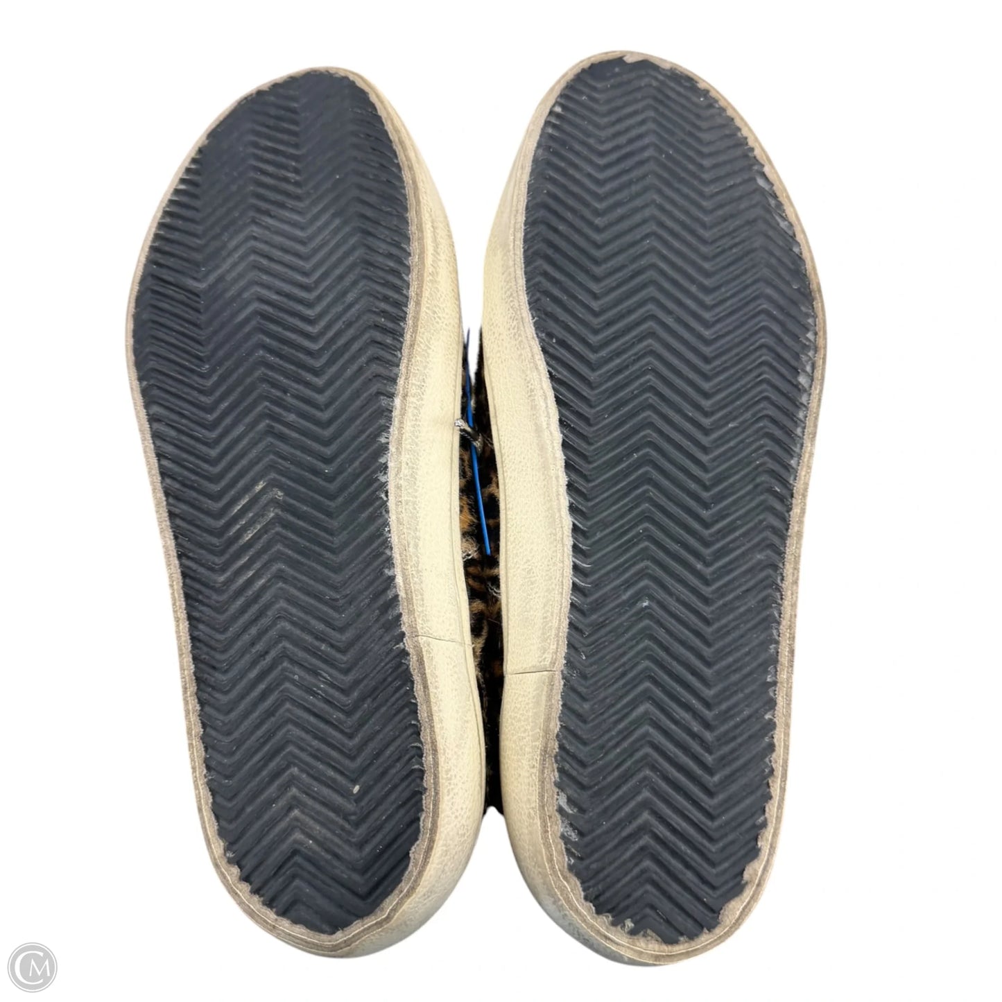 Shoes Luxury Designer By Golden Goose In Leopard Print, Size: 11.5