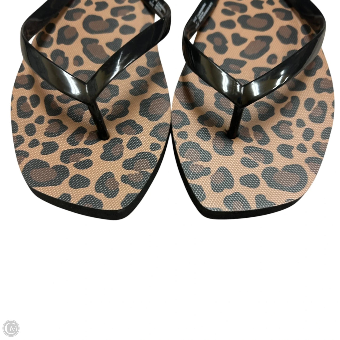 Sandals Flip Flops By Shade & Shore In Animal Print, Size: 6