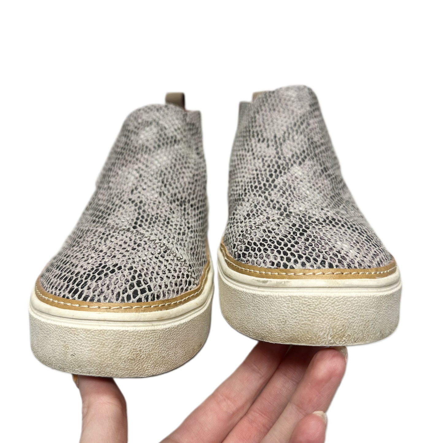 Shoes Sneakers By Toms In Snakeskin Print, Size: 8.5