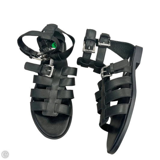 Sandals Flats By Steve Madden In Black, Size: 8