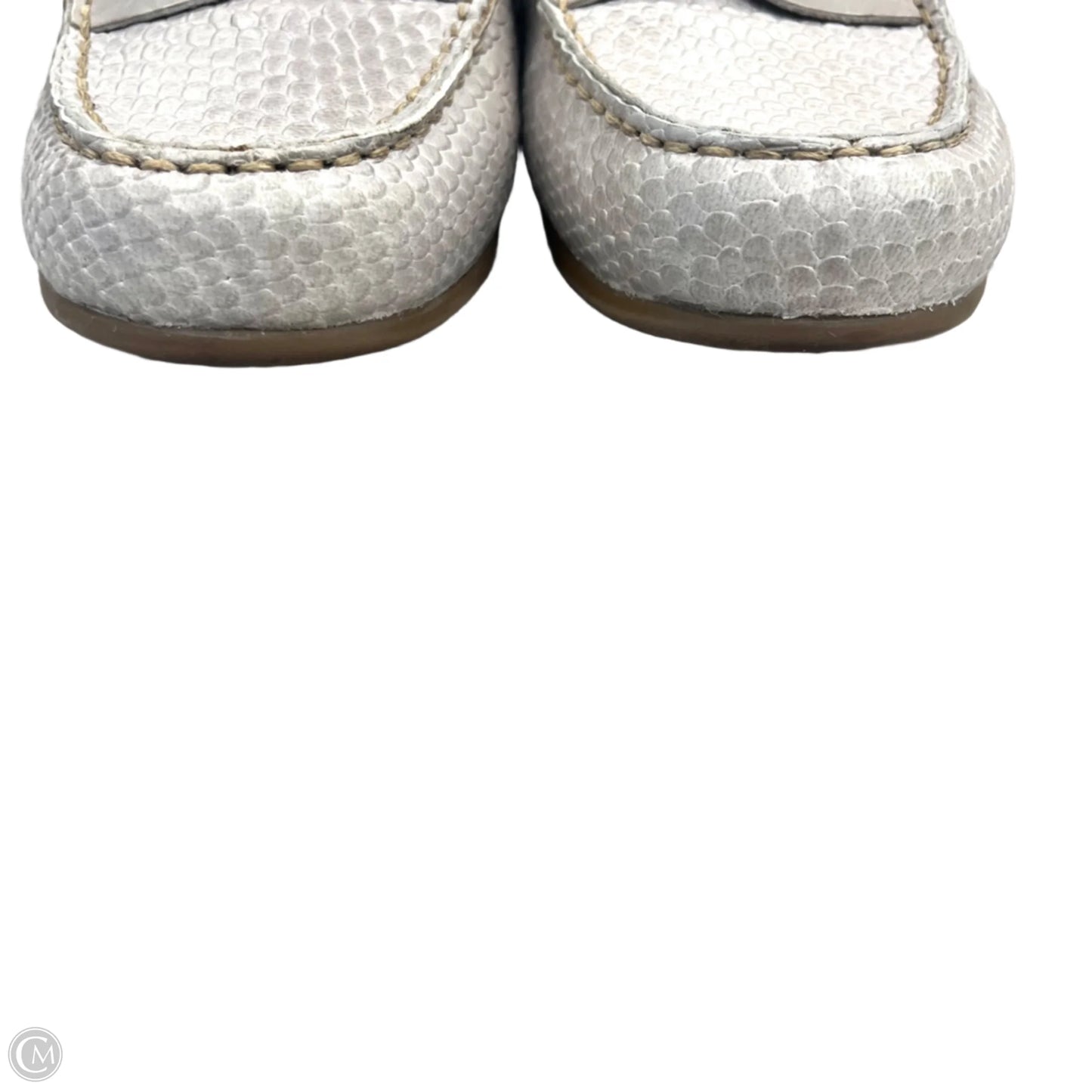 Shoes Flats By Clarks In Snakeskin Print, Size: 5.5