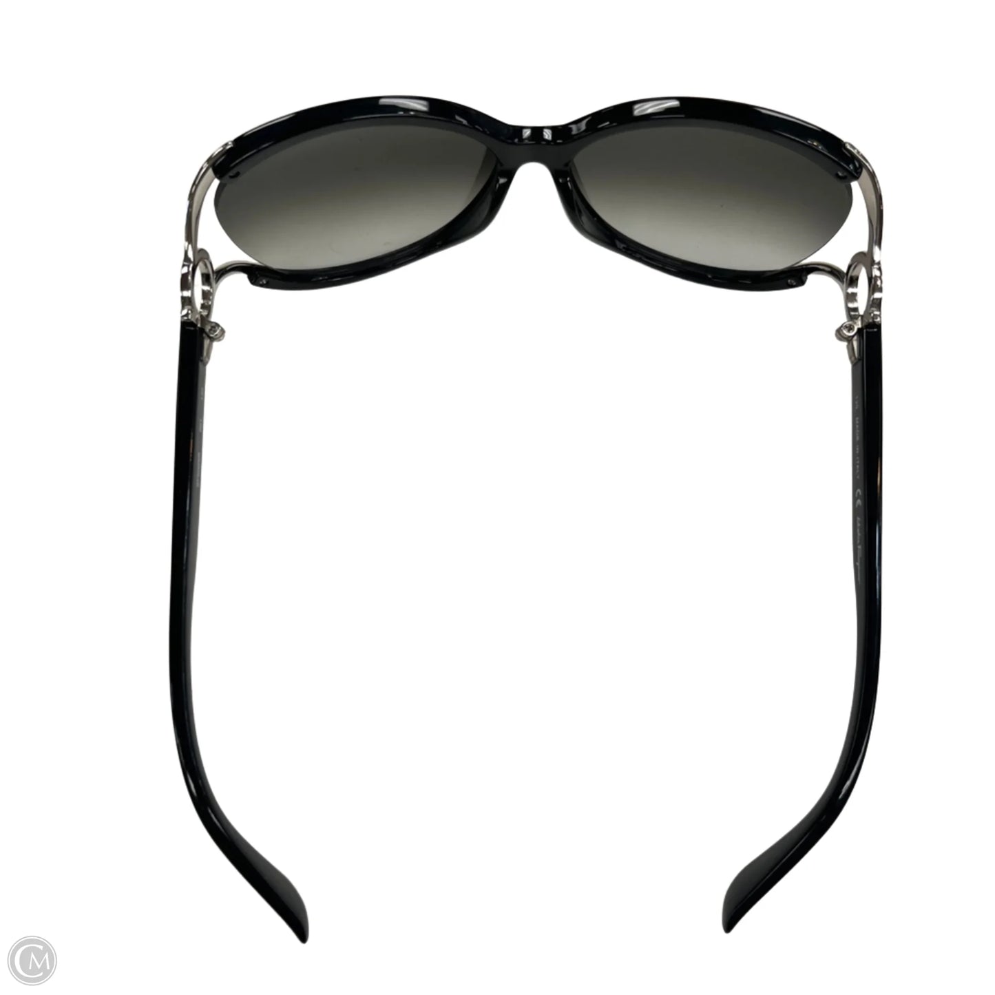 Sunglasses Designer By Ferragamo