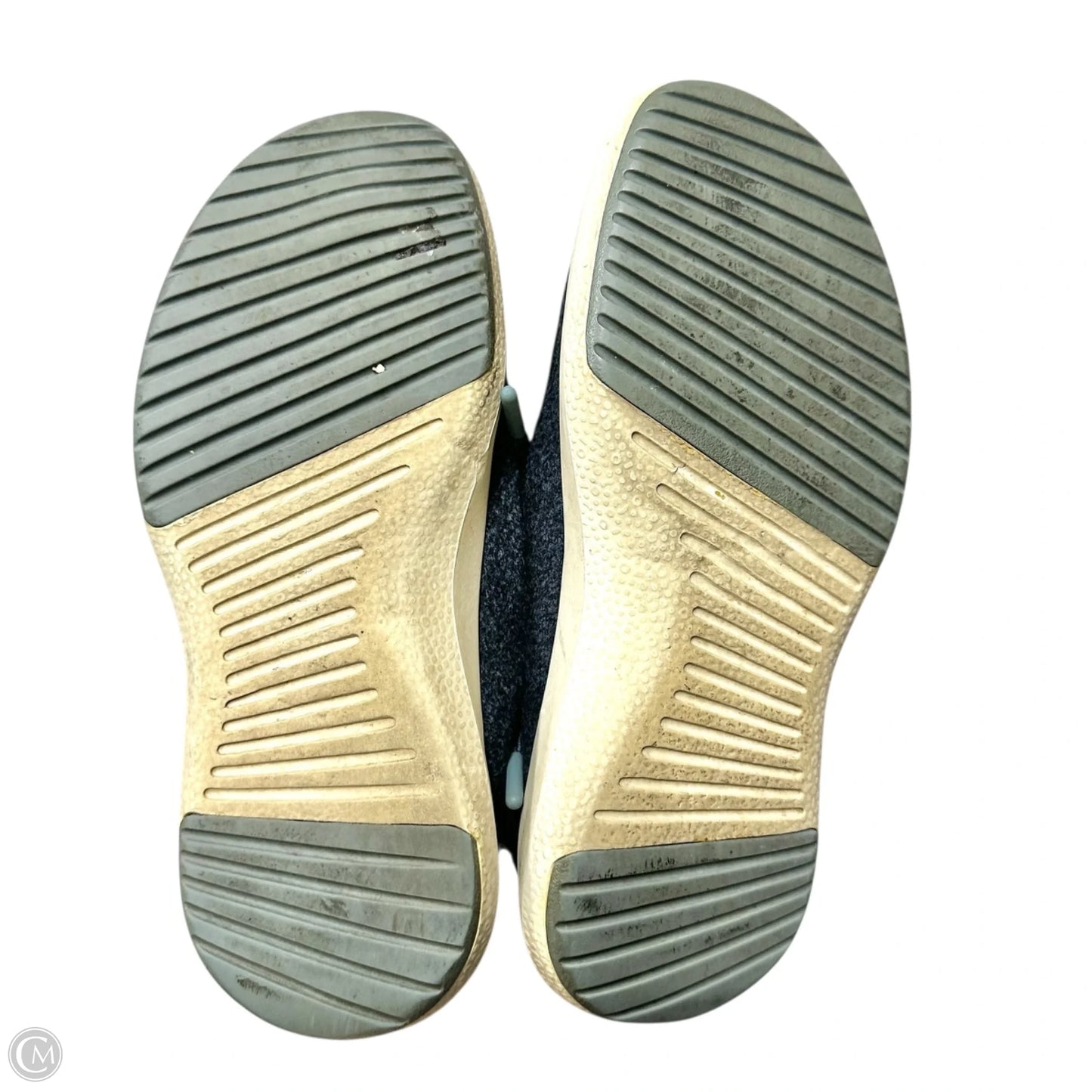 Shoes Athletic By Allbirds In Blue, Size: 8