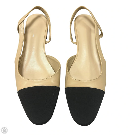 Shoes Flats In Black & Tan, Size: 9