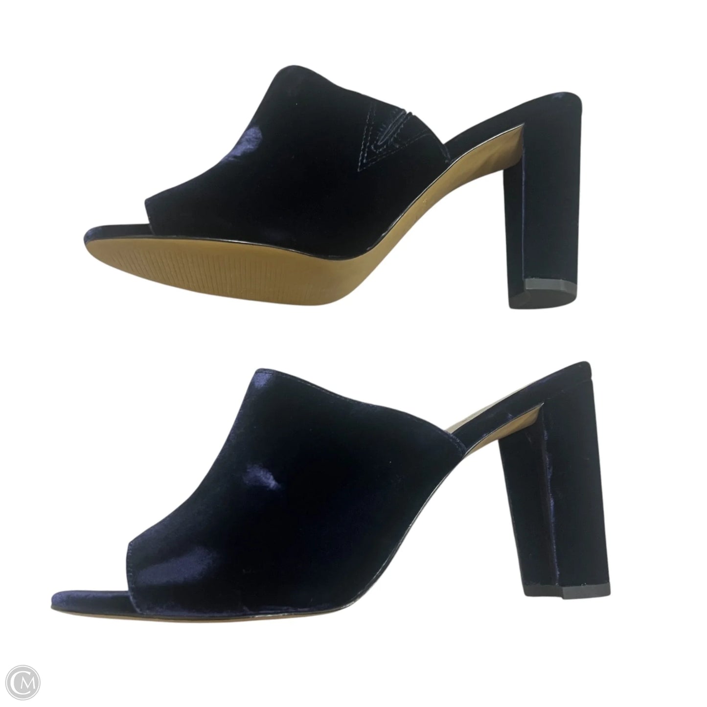 Sandals Heels Block By Ann Taylor In Blue, Size: 8.5
