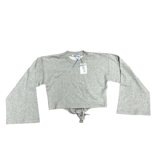 Sweatshirt Luxury Designer By Alexander Wang In Grey, Size: Xs