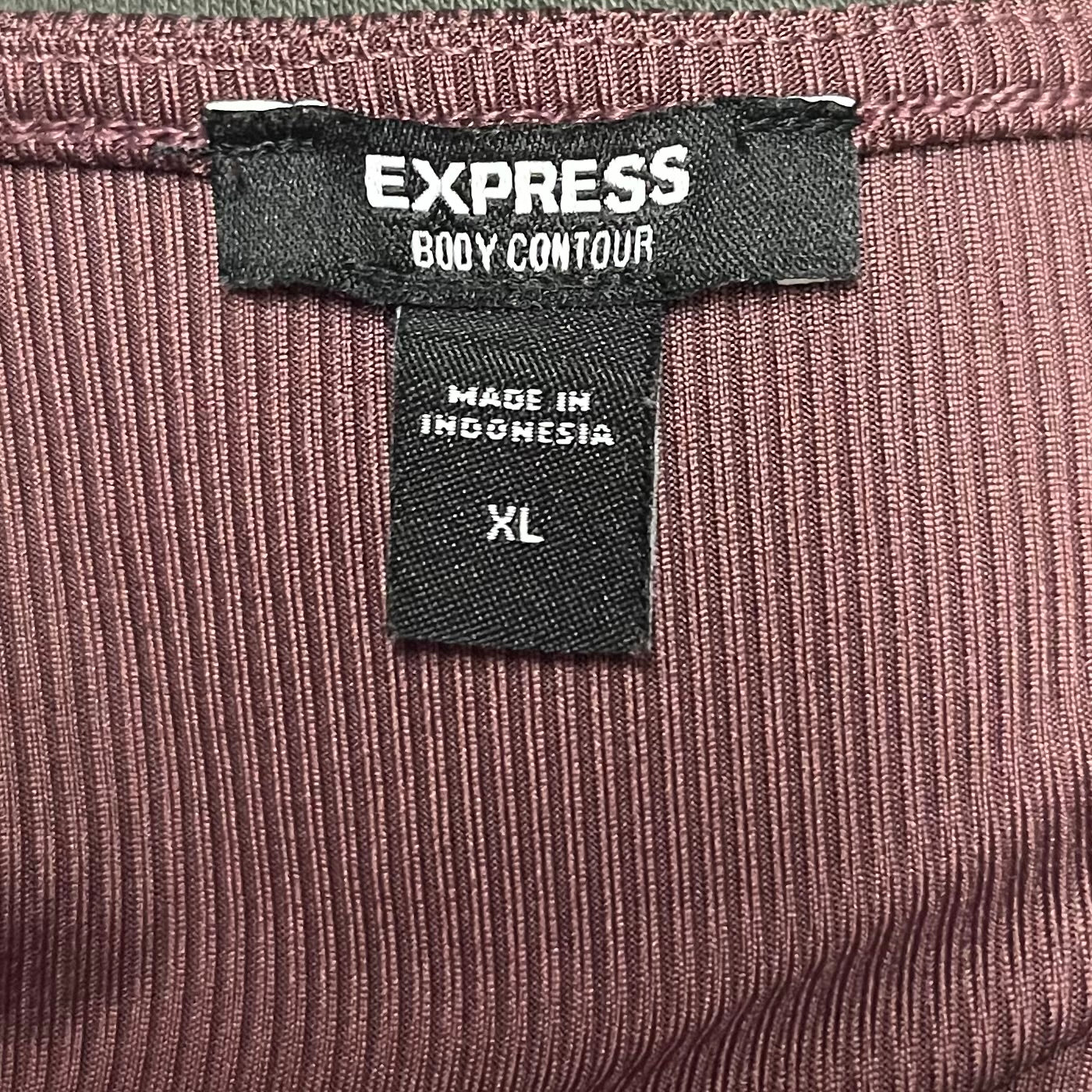 Bodysuit By Express  Size: Xl
