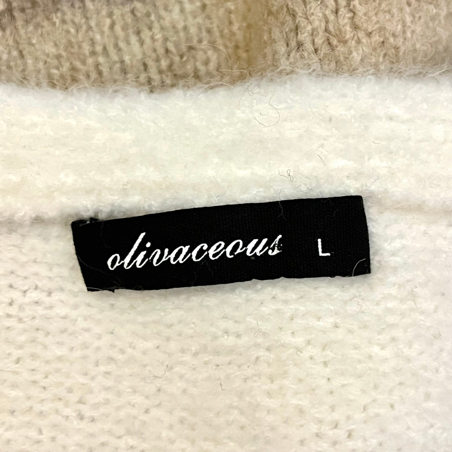 Sweater By Olivaceous  Size: L